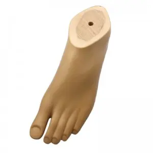 Prosthetic Leg Artificial Limb Polyurethane SACH Foot For Lower Limb Amputees